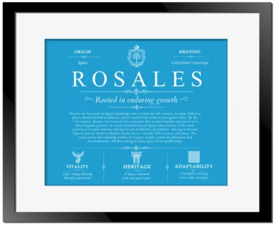 Rosales surname origin and family heritage in Blue with Black Matte Frame