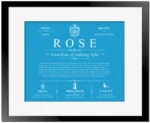 Rose last name origin and heritage in Blue with Black Matte Frame