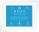 Rose last name origin and heritage in Blue with White Matte Frame