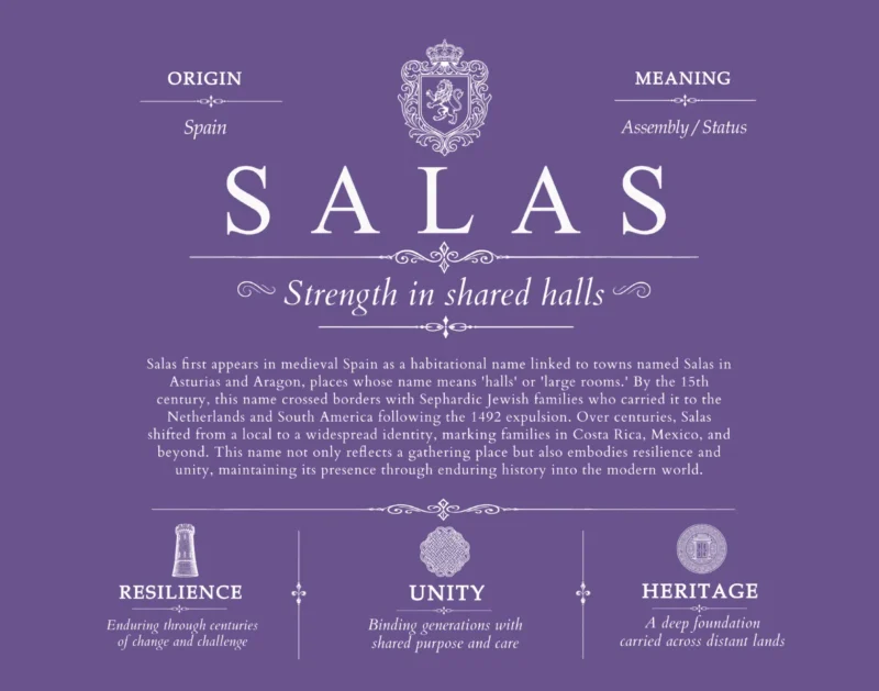 Salas family name meaning and history in Purple