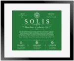 Solis personalized last name meaning in Dark Green with Black Matte Frame