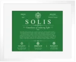Solis personalized last name meaning in Dark Green with White Matte Frame