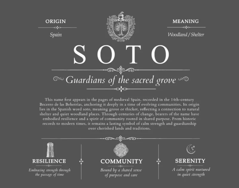 Soto personalized family surname in Gray