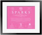 Sparks family name heritage in Pink with Black Matte Frame