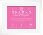 Sparks family name heritage in Pink with White Matte Frame