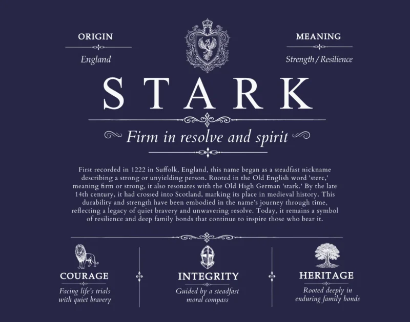 Stark last name meaning and origin in Navy Blue