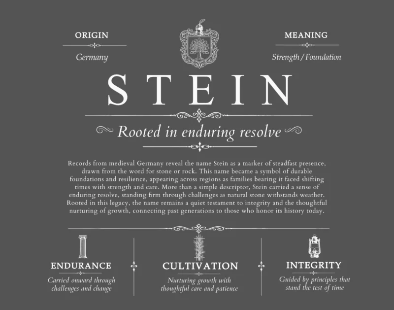 Stein last name meaning and origin in Gray