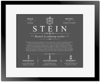 Stein last name meaning and origin in Gray with Black Matte Frame