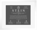 Stein last name meaning and origin in Gray with White Matte Frame