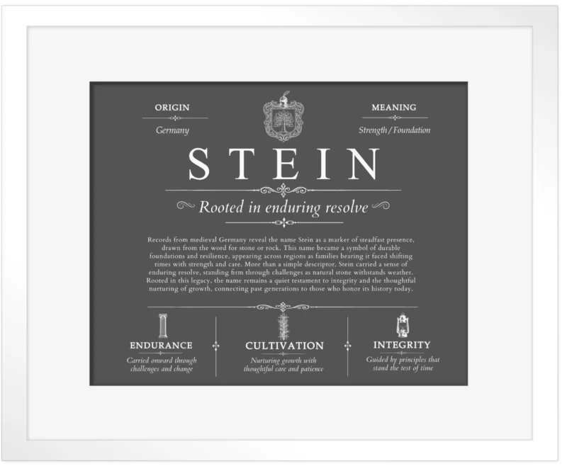 Stein last name meaning and origin in Gray with White Matte Frame