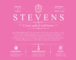 Stevens family name meaning and origin in Pink Stevens family name meaning and origin in Pink