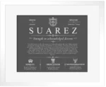 Suarez surname origin and family heritage in Gray with White Matte Frame