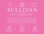 Sullivan last name history and origin in Pink Sullivan last name history and origin in Pink