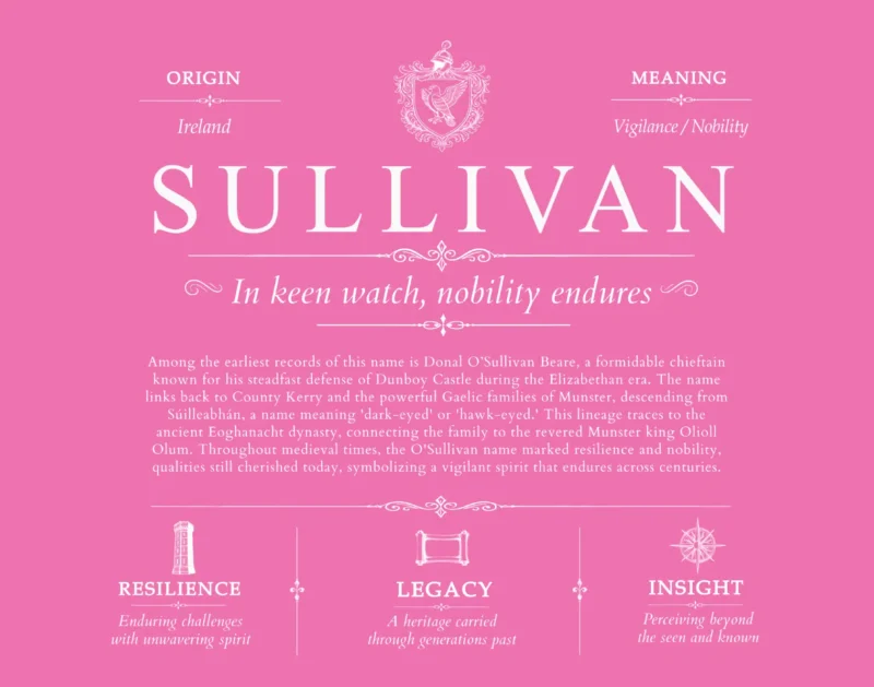 Sullivan last name history and origin in Pink