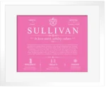 Sullivan last name history and origin in Pink with White Matte Frame Sullivan last name history and origin in Pink with White Matte Frame