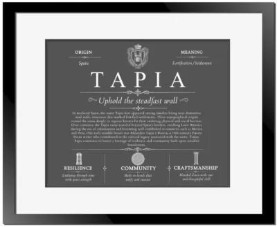 Tapia surname meaning and origin in Gray with Black Matte Frame