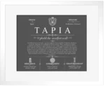 Tapia surname meaning and origin in Gray with White Matte Frame