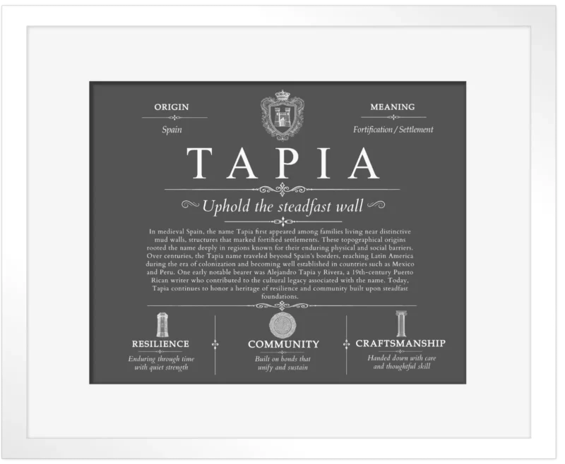 Tapia surname meaning and origin in Gray with White Matte Frame