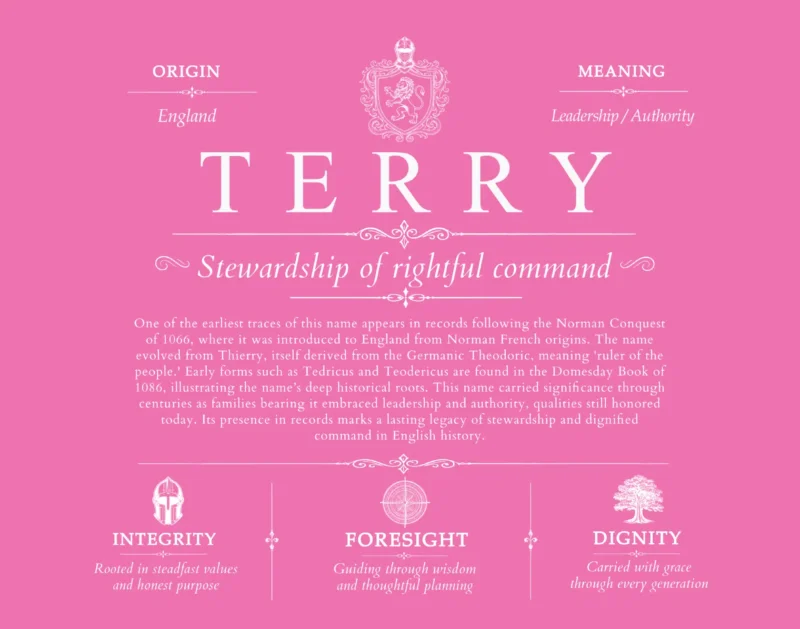 Terry personalized last name meaning in Pink