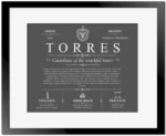 Torres surname heritage and history in Gray with Black Matte Frame