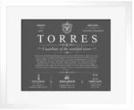 Torres surname heritage and history in Gray with White Matte Frame Torres surname heritage and history in Gray with White Matte Frame