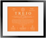 Trejo surname meaning and origin in Orange with Black Matte Frame