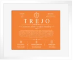 Trejo surname meaning and origin in Orange with White Matte Frame Trejo surname meaning and origin in Orange with White Matte Frame