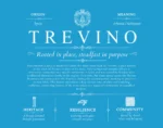 Trevino personalized surname meaning in Blue