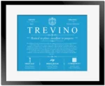 Trevino personalized surname meaning in Blue with Black Matte Frame
