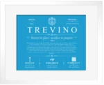 Trevino personalized surname meaning in Blue with White Matte Frame