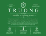 Truong last name origin and heritage in Dark Green