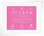 Tucker surname history and family heritage in Pink with White Matte Frame