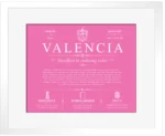 Valencia surname meaning history and origin in Pink with White Matte Frame