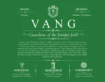 Vang family name meaning and history in Dark Green
