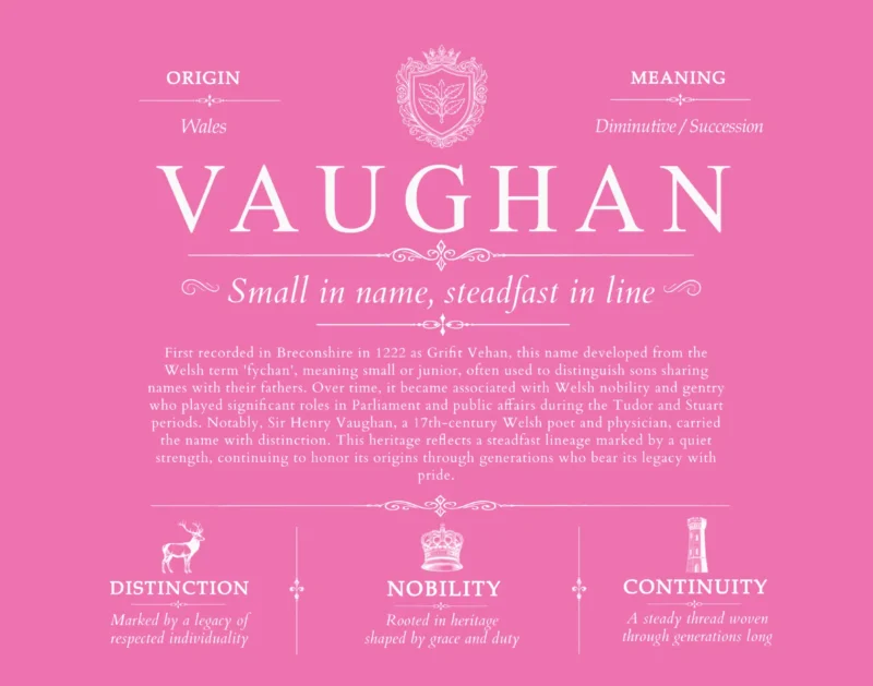 Vaughan surname meaning and heritage in Pink