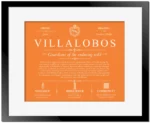Villalobos personalized last name meaning in Orange with Black Matte Frame