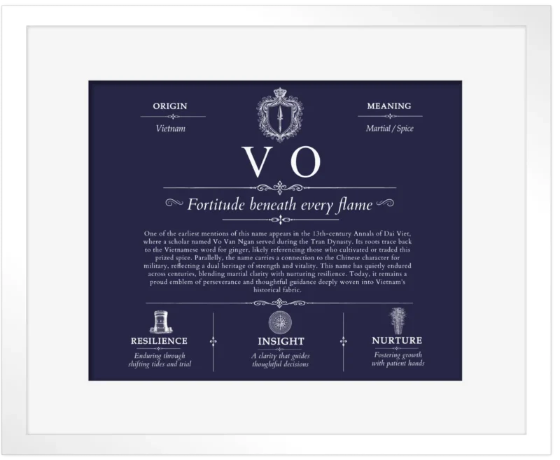 Vo surname history and heritage in Navy Blue with White Matte Frame