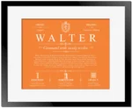 Walter surname meaning and origin in Orange with Black Matte Frame
