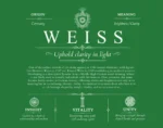 Weiss last name origin and heritage in Dark Green Weiss last name origin and heritage in Dark Green