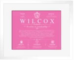 Wilcox surname origin and family heritage in Pink with White Matte Frame Wilcox surname origin and family heritage in Pink with White Matte Frame