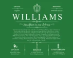 Williams last name meaning and origin in Dark Green Williams last name meaning and origin in Dark Green
