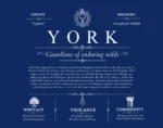 York last name history and origin in Deep Blue