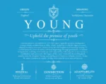 Young personalized surname meaning in Blue Young personalized surname meaning in Blue