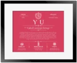 Yu surname meaning and heritage in Red with Black Matte Frame